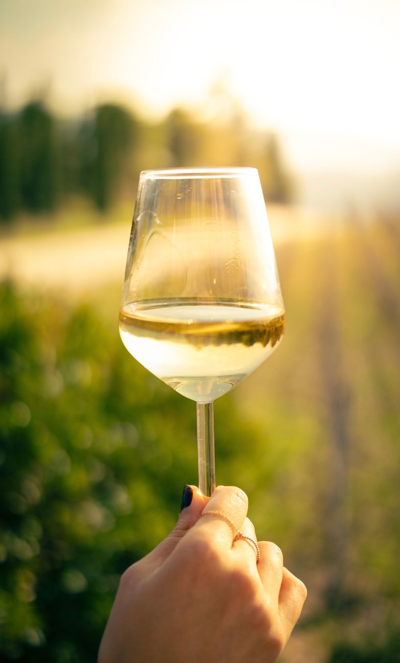 Tuscan vineyard landscape